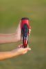 Auto Guardian Multi-Function Vehicle Flashlight